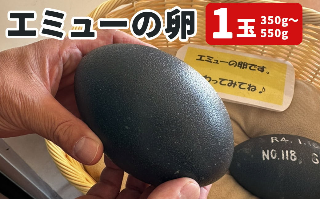 エミューの卵 350gから550g(1玉)