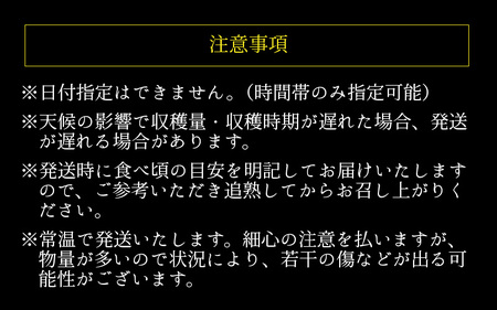 【先行予約】糖度が高くシャキシャキした食感「ペルルメロン」 1玉 坂井市産 果物 【2026年6月下旬以降順次発送予定】 [A-3220]