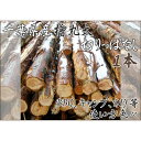 【ふるさと納税】千葉市産切りっぱなし檜丸太1本 BBQ・キャンプ・スウェーデントーチ・DIYの素材として便利！　【 丸太 檜 ひのき 木 キャンプ アウトドア バーべキュー 薪 DIY 焚火 火持ちが良い 薪割り スツール スウェーデントーチ 】