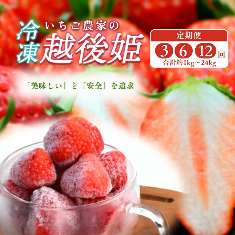 【ふるさと納税】冷凍いちご 越後姫 容量と配送回数が選べる 冷凍 イチゴ 苺 果物 フルーツ 新潟　お届け：寄附のご入金後、順次発送いたします。