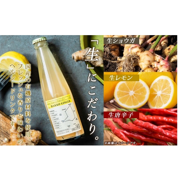 北海道 自家製 ジンジャービア 200ml×6本 HAKKO GINGER 発酵 ジンジャー ビール 生姜 レモン 辛口 ノンアルコール 炭酸 ヘルシー 野菜飲料 野菜ジュース 飲料類 炭酸飲料 _イ