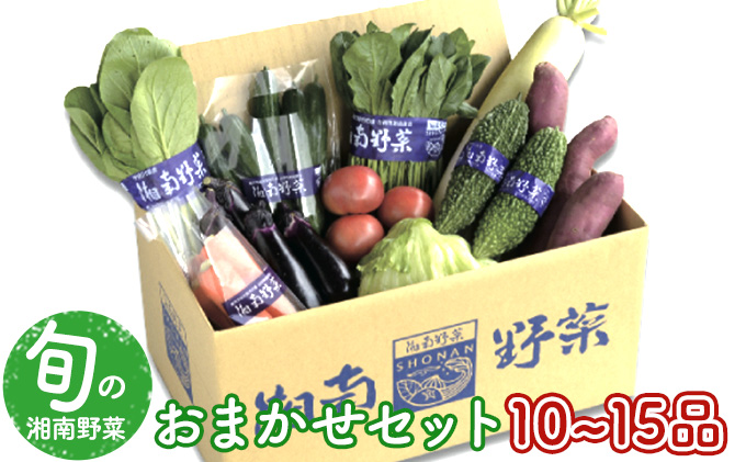 野菜セット 旬の湘南野菜おまかせ※10月1日以降のお申込みについては12月以降順次発送予定