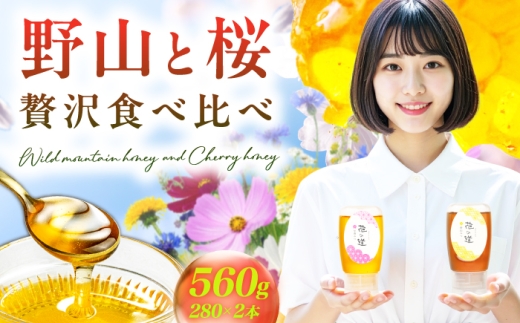 【はちみつお試しセット】 早春みつ・野山みつ 各1本（280g×2） はちみつ ハチミツ 蜂蜜 早春みつ ハニー 九州蜂の子本舗 国産 ボトル スピード発送 広川町 / 株式会社九州蜂の子本舗 [AFAI043]