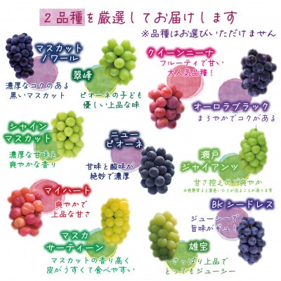 【2026年先行受付】岡山　花笑み農園のブドウ『訳あり2種MIX』1kg　W2M-1【配送不可地域：離島・北海道・沖縄県】