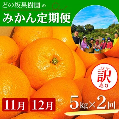 【発送月固定定期便】ご家庭用 2種のみかん定期便 (ゆら早生みかん・完熟みかん)各約5kg全2回【配送不可地域：離島・北海道・沖縄】【4052396】