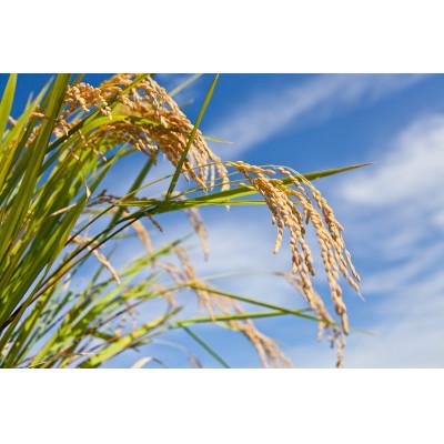 ふるさと納税 奥州市 お米でできたアウトドアスプレー パルマローザ [D0007] |  | 01