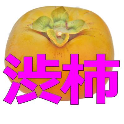 ふるさと納税 紀美野町 生渋柿たね無 あんぽ柿用T軸枝無約1.5〜2kg　6〜12玉【2025年10月中旬〜順次発送】 |  | 02