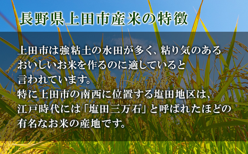 米 コシヒカリ 10kg お米 白米 精米 単一原料米 令和7年産 長野県産 長野 長野県 上田市