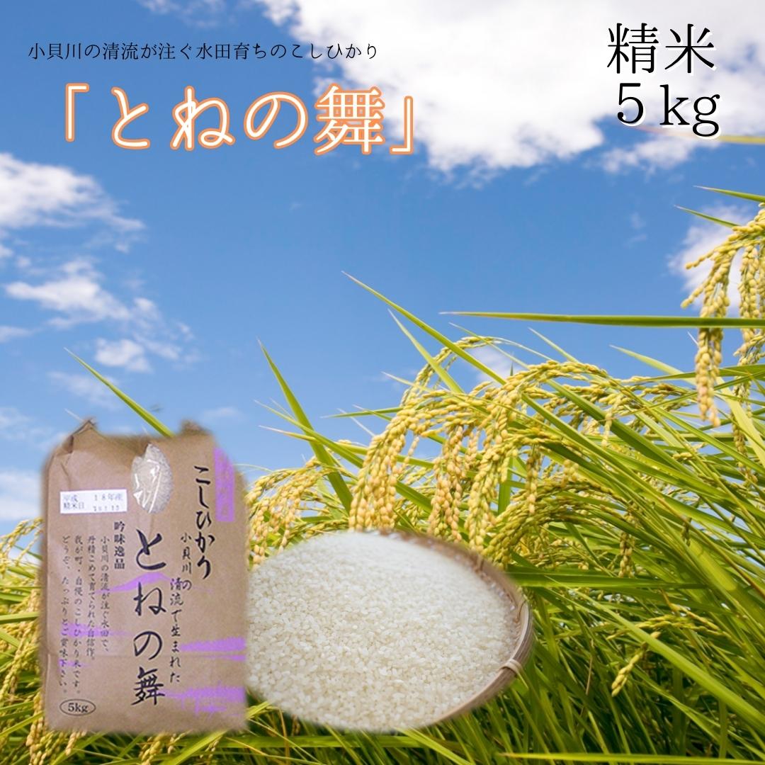 【ふるさと納税】 米 5kg 白米 コシヒカリ 小貝川の清流が注ぐ水田育ち とねの舞 精米 コメ こめ お米