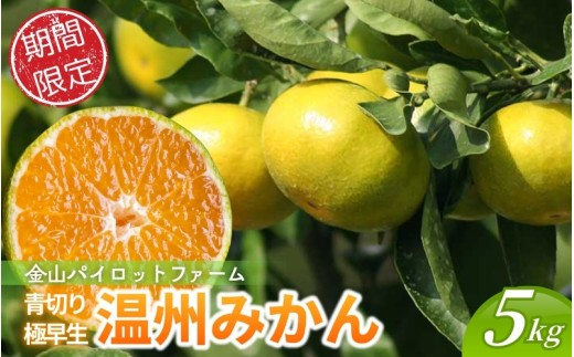 みかん 金山パイロットファームの 極早生温州みかん 5㎏ 【2026年9月下旬から順次発送】 みかん ミカン 温州みかん 極早生 極早生みかん フルーツ 果物 くだもの 柑橘 産地直送 数量限定 人気 国産 三重県 熊野市【knpr0012A】
