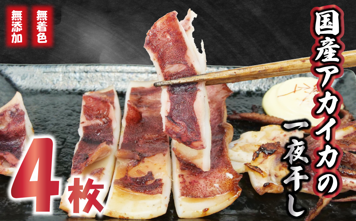 
            国産 アカイカ 一夜干し 4枚 セット 個包装 小分け イカ いか おつまみ 干物 冷凍 無着色 無添加 沼津 まるが水産 指定日可 ひもの 人気 美味しい 静岡県 静岡 沼津
          