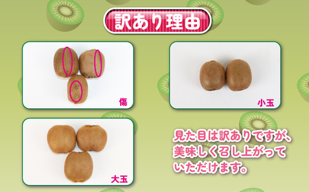 訳あり キウイ フルーツ 5kg 吉田農園 グリーンキウイ ヘイワード キウイフルーツ デザート スイーツ 愛媛県産 訳アリ 訳あり品 訳有り わけあり 果物 くだもの 農家直送 産地直送 数量限定 
