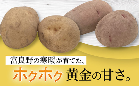 【2026年秋発送】野菜セット ( じゃがいも 玉葱 南瓜 ) 野菜 いも じゃがいも 玉ねぎ かぼちゃ 新鮮 北海道 富良野