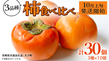 柿 食べ比べ 3品種×10個【2025年10月上旬発送開始】(茨城県共通返礼品：大子町) 富有柿 次郎柿 種無し柿 筆柿 太秋柿 果物 フルーツ 旬 季節限定 期間限定