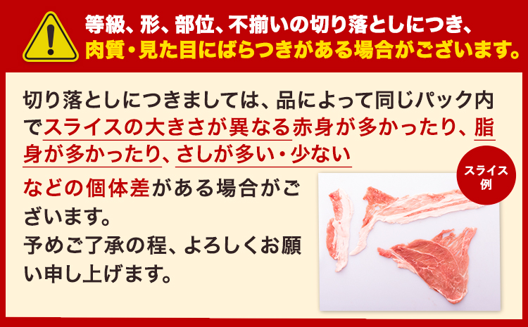 【12ヶ月定期便】豚肉 切り落とし ＆ ミンチ ハーフセット 1.8kg 豚 細切れ こま切れ 豚こま 豚小間切れ 豚しゃぶ 小分け 訳あり 訳有 ひき肉 うまかポーク 傷 規格外 ぶた肉 ぶた 真空