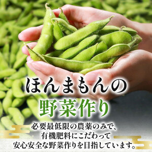 【香ばし旨味】大粒 甘み香ばしい 無農薬 枝豆1kg 上田ファーム 自然栽培旬の味 枝豆 1kg 大粒 甘い 香ばしい ホクホク 新鮮 無農薬 有機 自然栽培 エコ 安心 安全 通販 お取り寄せ 贈答