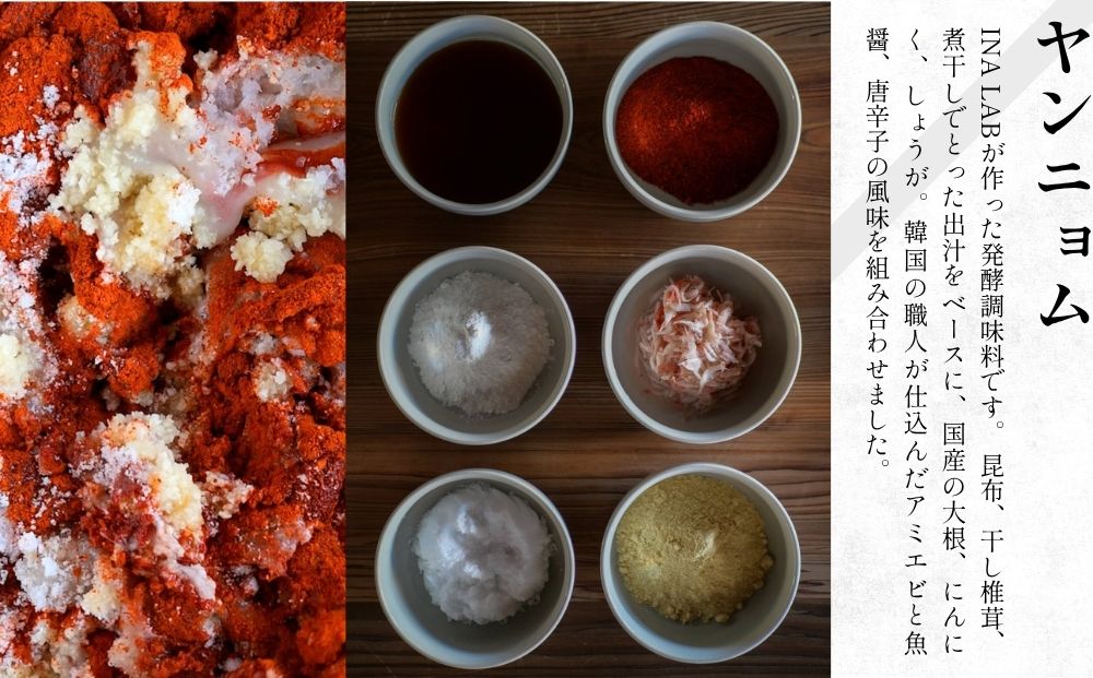 ヤンニョム500g ＆季節野菜のキムチ2種（各500g）／ ふるさと納税 キムチ ヤンニョムソース 赤キムチ 白キムチ 料理 グルメ INA Lab INA KIMCHI 取り寄せ 室生 奈良県 宇陀