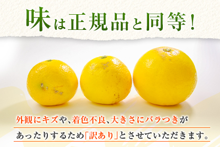 先行予約 訳あり 宮浦産 蔵出し 日向夏 計3kg以上 期間限定 数量限定 フルーツ 果物 くだもの 柑橘 みかん 令和8年発送 国産 産地直送 新鮮 食品 ジュース デザート フルーツサンド おやつ