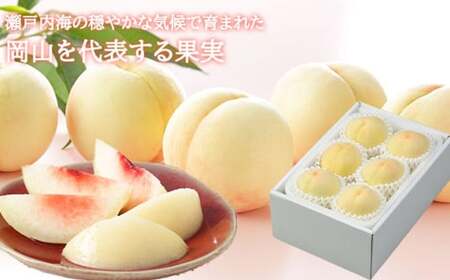 岡山白桃 エース 4～8玉 約1.2kg 岡山県産 【2025年7月上旬～8月下旬迄発送予定】 ／ 白桃 桃 もも 果物 果実 フルーツ 岡山県 美咲町 冷蔵