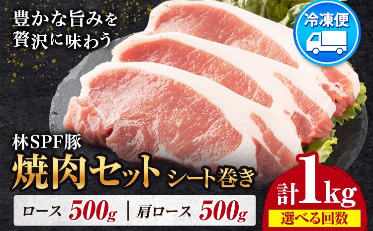 
                  林SPF豚 焼肉セット シート巻き 計1kg 選べる 3ヶ月定期便 6ヶ月定期便 12ヶ月定期便 田谷ミートセンター株式会社《出荷時期をお選びください》千葉県 東庄町 豚肉 焼肉 ロース 肩ロース 送料無料
                