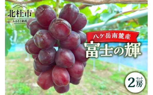 
                  八ケ岳南麓産「富士の輝」　ブラック シャイン マスカット 期間限定 数量限定 富士の輝 新品種 ぶどう フルーツ 山梨県 北杜市 八ヶ岳南麓
                