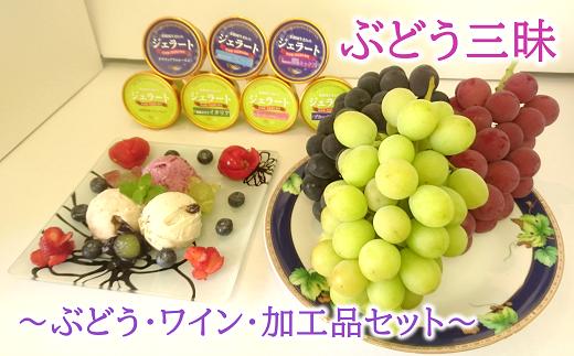 【令和7年産先行予約】 《定期便3回》 ぶどう三昧 定期便 ～ぶどう・ワイン・加工品セット～ 《令和7年7月～発送》 『漆山果樹園』 山形県 南陽市 [393]