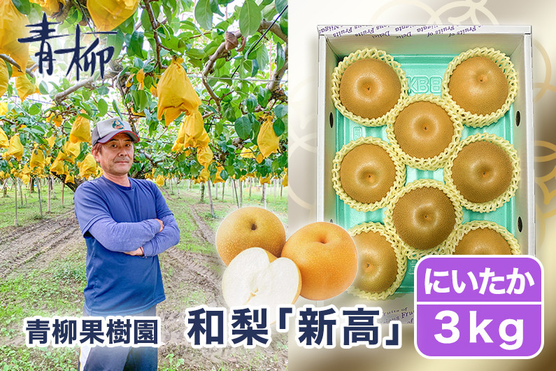
                  【2026年先行予約】青柳果樹園の和梨 新高 3kg (4～6玉)《10月上旬～順次出荷》にいたか フルーツギフト 加茂市 青柳果樹園
                