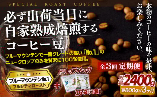 《定期便》必ず出荷日に自家熟成焙煎ブルーマウンテンNo.1豆(800g)＋ドリップバッグ16パック【3回お届け】
