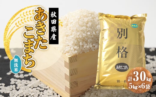 
            ＜新米予約＞令和7年産 あきたこまち 無洗米 30kg(5kg×6袋)【1666265】
          
