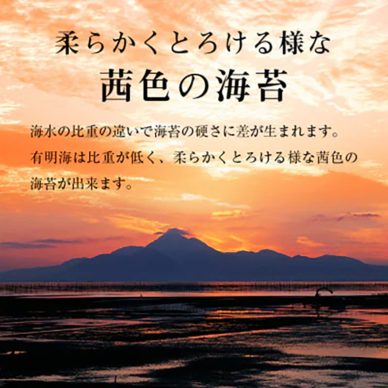 有明海産 味のり 味海苔 大丸ボトル 6本 合計480枚 8切80枚 6本セット 送料無料 《30日以内に順次出荷(土日祝除く)》福岡県 鞍手郡 鞍手町 たっぷり 大容量 親和園