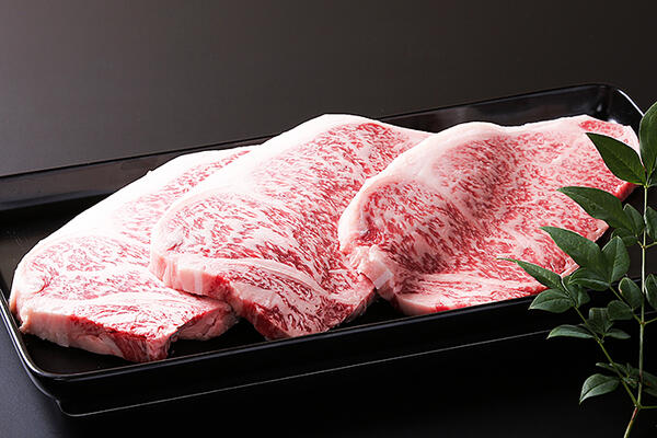 佐賀牛サーロインブロック 1kg：B820-001_イメージ2