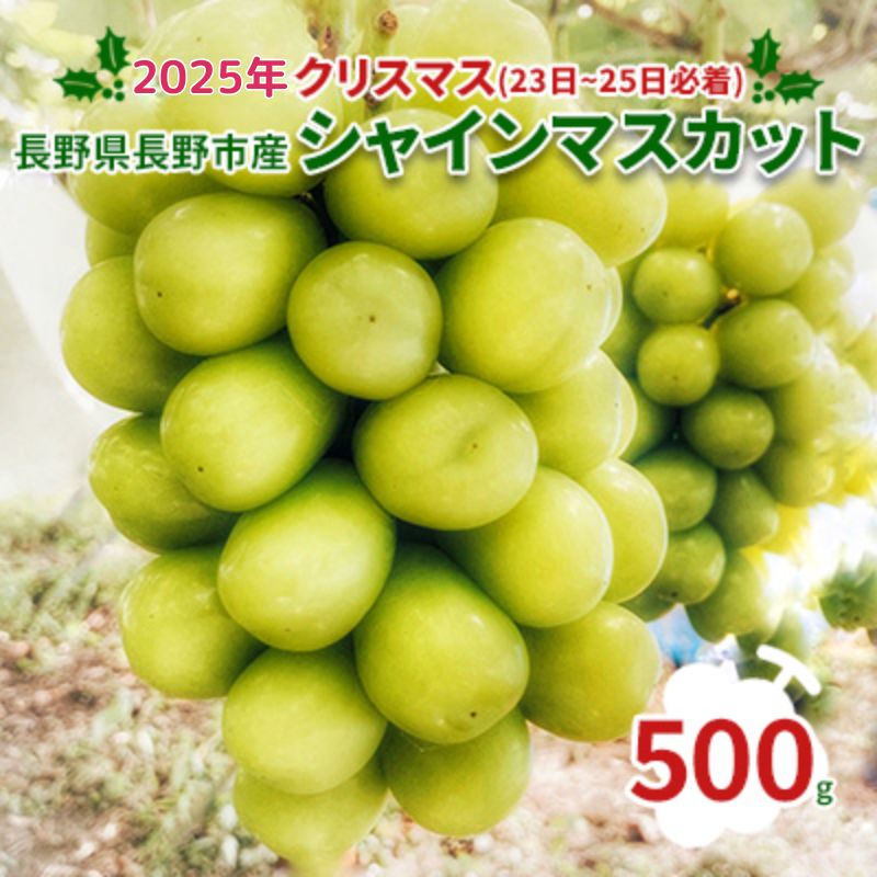 【ふるさと納税】【2025クリスマス（23日～25日必着）】長野県長野市産シャインマスカット500g　 果物 ぶどう フルーツ デザート おやつ 食後 信州のぶどう 長野県産 高級ぶどう 　お届け：2025年12月23日～12月25日