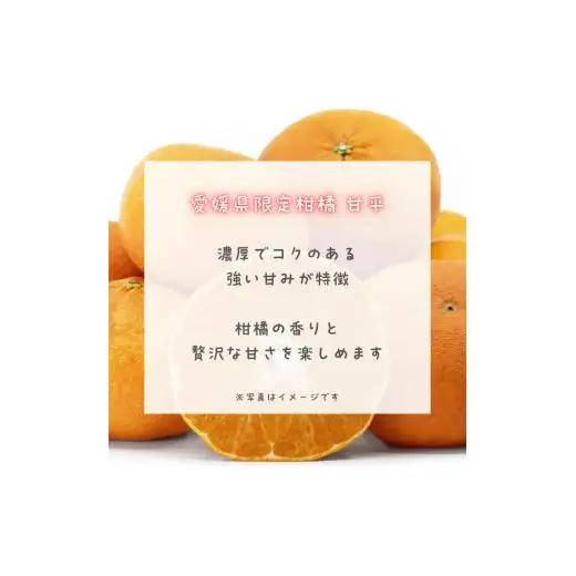 PURE DROP 2本セット 甘平2本