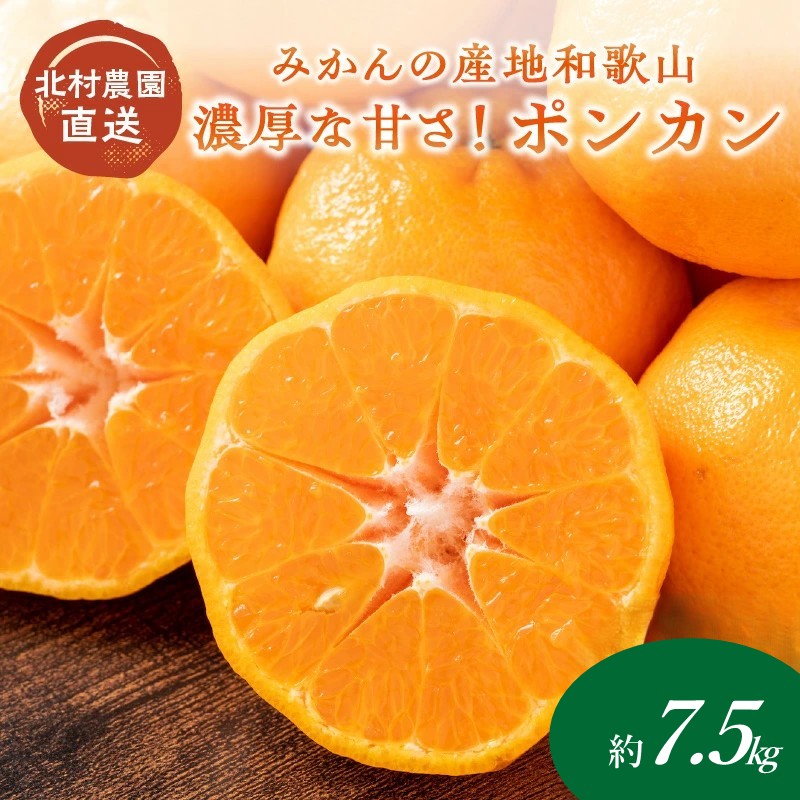 【ふるさと納税】濃厚な甘さ！ポンカン7.5kg みかんの産地和歌山の農園直送《先行予約》 ぽんかん みかん フルーツ くだもの 果物 数量限定 送料無料 ふるさと納税 ポンカン 柑橘