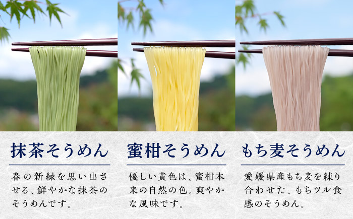 そうめん 手延べ五色そうめん化粧箱入 3kg(50g×60束) / もち麦 みかん 梅 抹茶 練り込み色麺 素麺 カラフル 色付き 小分け 常温 長期保存 詰合せ ランチ 夜食 冷 温 / 愛媛県砥部