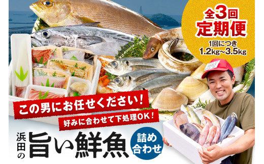 【鮮魚屋にお任せ！大満足の定期便】【定期便】 この男の目利き！～浜田の旨い鮮魚3回お届けコース～ 定期便 3回 海鮮セット 海鮮 鮮魚 セット 下処理済み おすすめ 返礼品 お取り寄せ 人気 【006_2042】