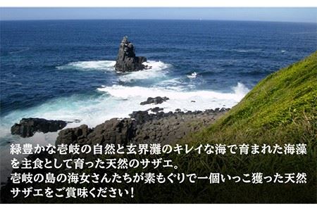 天然 サザエ 秘伝のタレ さざえ つぼ焼き（6個入り×2パック） 《壱岐市》【天下御免】[JDB001] 10000 10000円 1万円 コダワリサザエ・さざえ こだわりサザエ・さざえ おすすめサザ