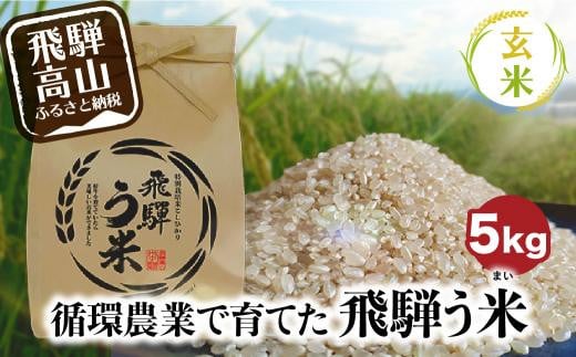 【数量限定】令和7年産 飛騨う米 玄米 5kg | 有機肥料100％ 米 お米 受賞米 米コン3年連続特別優秀賞受賞米 飛騨高山 株式会社拳 GW003