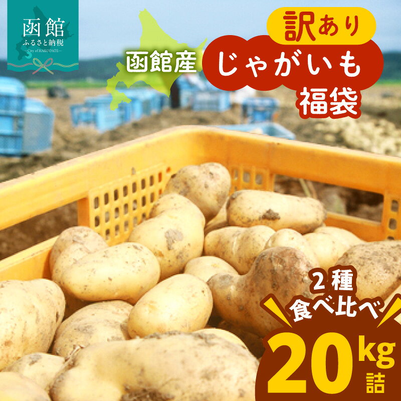 【ふるさと納税】じゃがいも 福袋 2種類 20kg きたあかり 男爵いも メークイン とうや キタカムイ 北海道産 じゃがいも Mサイズ　2Lサイズ 訳あり 野菜 新鮮 国産 食品 お取り寄せ お取り寄せグルメ 北海道 函館市 送料無料