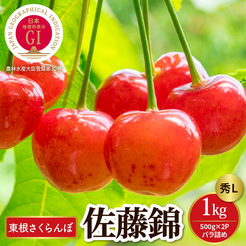 【ふるさと納税】【 2027年産 先行予約 】GI 東根 さくらんぼ 佐藤錦 秀L 1kg バラ詰め ( 500g ×2P ) | フルーツ 果物 チェリー 期間限定 先行受付 バラ 1キロ 取り寄せ グルメ ご当地 特産 産地直送 冷蔵 送料無料 東北 山形 東根市