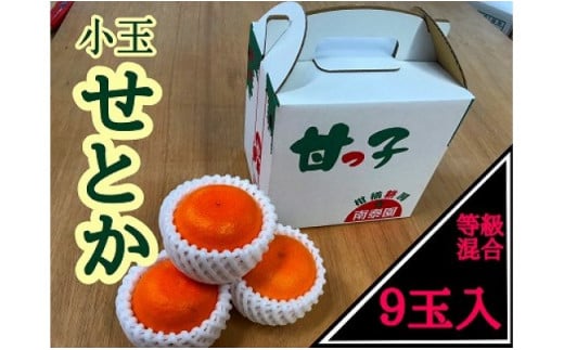 
                  甘っ子 小玉 ハウス せとか 9玉入 手さげ箱 南泰園
                