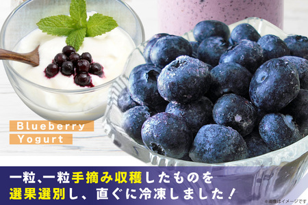 ブルーベリー 冷凍 1kg