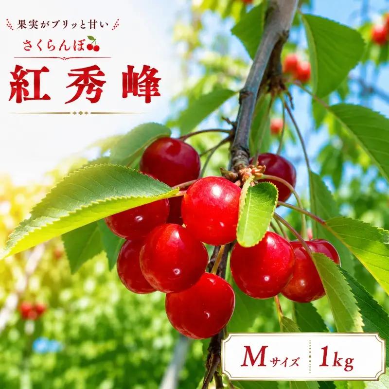 【6月下旬発送】 さくらんぼ  紅秀峰 M 1kg 田屋果樹園 taya002