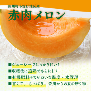 【ふるさと納税】先行受付＜メロン 2玉 合計約3kg＞ サンライズメロン 赤肉 めろん 赤 果物 フルーツ 果実 家庭用 旬 ちょっと訳あり【常温】高知県 佐川町 はちきんの店 ＜2026年7月中旬頃