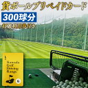 【ふるさと納税】 全面天然芝で、本格的な練習ができるゴルフ練習場 沢田ゴルフ練習場 貸ボールプリペイドカード300球分と打席利用券1枚