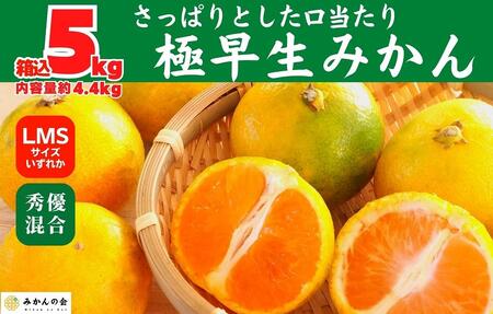 みかん 極早生 箱込 5kg (内容量約 4.4kg)  S/M/Lサイズのいずれか 秀品 優品 混合 有田みかん 和歌山県産 【みかんの会】