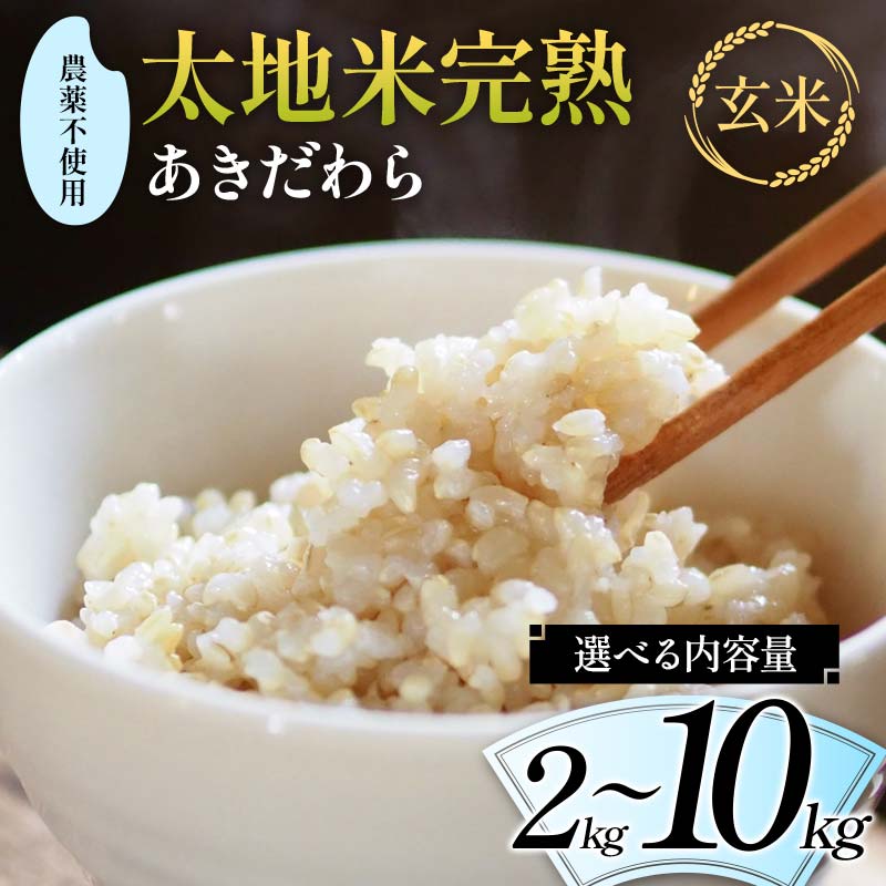 【ふるさと納税】＼選べる内容量／ 2024年産 農薬不使用 太地米完熟 【あきだわら】 玄米 2kg 3kg 5kg 10kg ブランド米 お米 玄米 人気 F7X-0323var