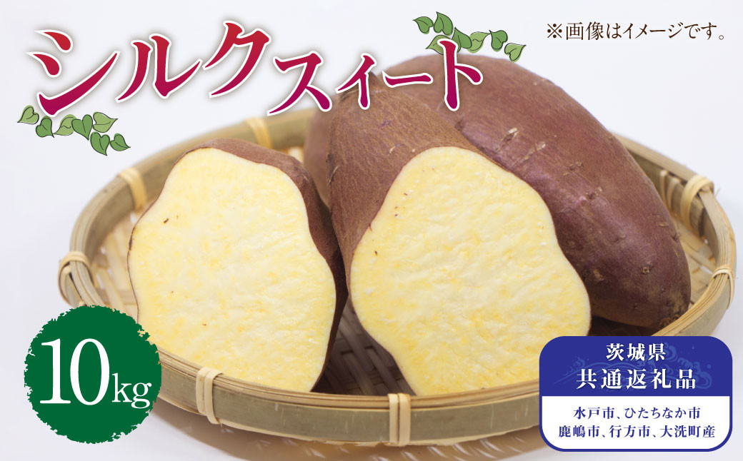 
茨城県産 さつまいも【シルクスイート】10kg （茨城県共通返礼品・水戸市、ひたちなか市、鹿嶋市、行方市、大洗町産） 【2024年10月下旬発送開始】
