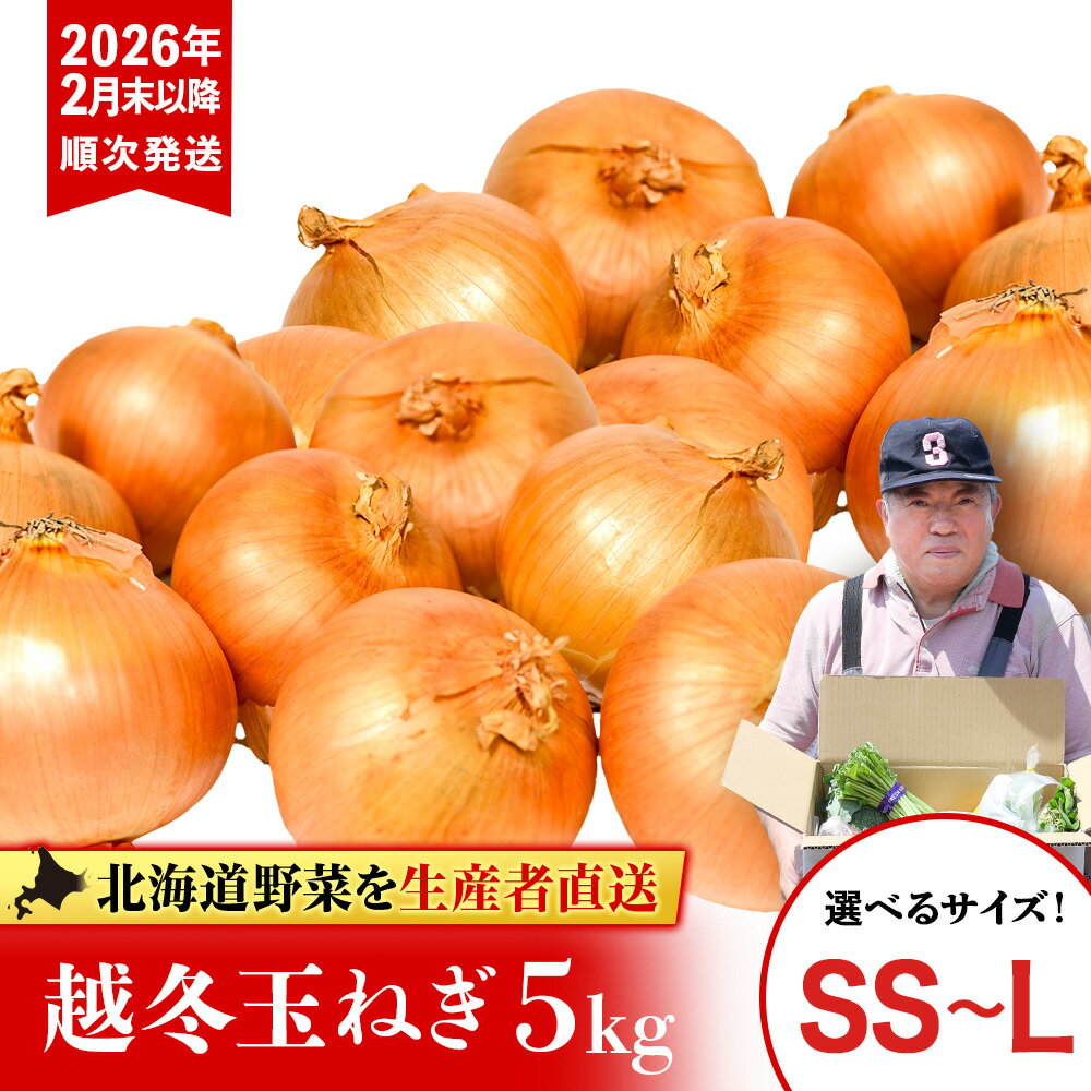 【ふるさと納税】越冬玉ねぎ5kg 選べるサイズ SS・S・L 《 土居ファーム 》 やさい 玉葱 タマネギ 越冬 野菜 千歳 北海道【北海道千歳市】ギフト ふるさと納税