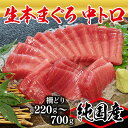 【ふるさと納税】【冷蔵・指定日着可】国産 生本マグロ 中トロ 220g～700g(柵どり) / 送料 無料 福井県 越前市 鮪 未冷凍 生まぐろ 生マグロ 本鮪 中とろ 新鮮 お刺身 おさしみ お造り 切り身 切身 海鮮 海鮮丼 まぐろ丼 漬け 発送時期が選べる(18209)